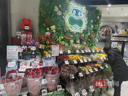 鮮花消費日?；厔菝黠@，武漢時令春花綻放新商機